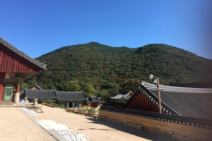 Busan day trip including Gamcheon culture village from Seoul by KTX train JsR4HQcq