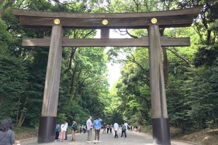 Meiji Jingu Shrine Half-day Tour by public transportation zv8vhhdT