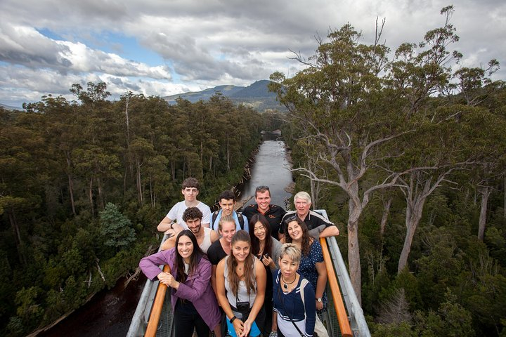 Tahune Airwalk & Hastings Cave Active Day Tour from Hobart JzyDprVl