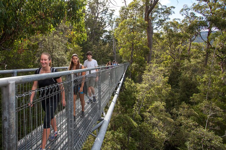Tahune Airwalk & Hastings Cave Active Day Tour from Hobart xotMk4Tx