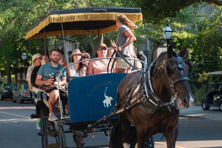 Charleston Horse & Carriage Historic Sightseeing Tour q72nZnK5