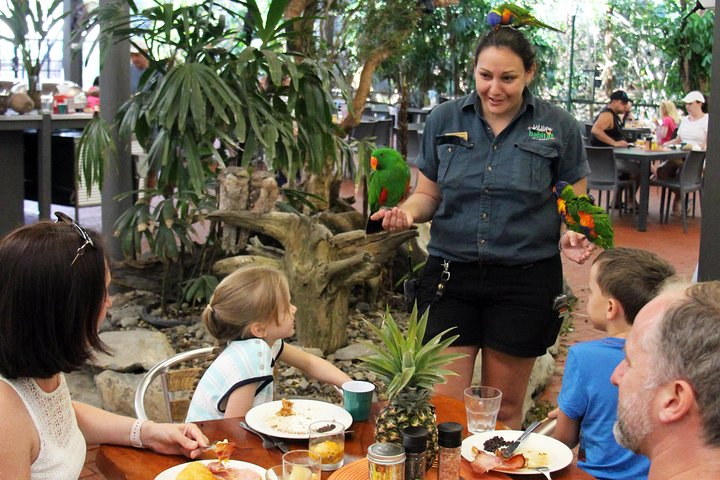 Wildlife Habitat Port Douglas wmZZGwXJ