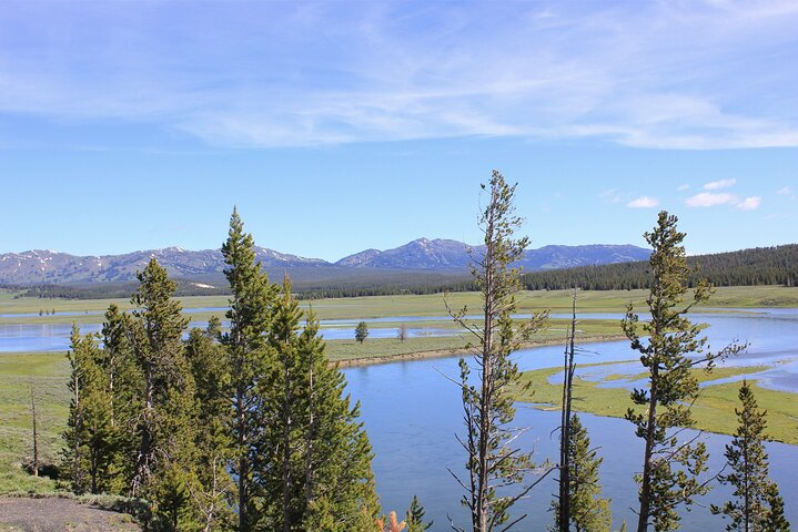 Lower Loop Yellowstone Wildlife Scenic - Jackson Hole Day Tour | WY 01onUCSp-backdrop