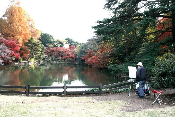 Meiji Jingu Shrine Half-day Tour by public transportation oMSVKPaL-backdrop