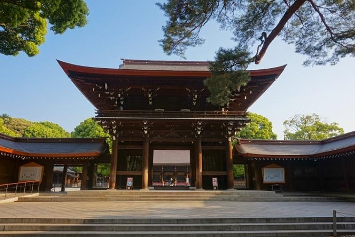 Meiji Jingu Shrine Half-day Tour by public transportation JW7cAihJ