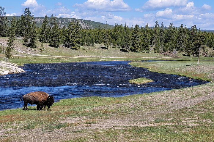 Full-Day Guided Yellowstone Day Tour fpTZ4qC3
