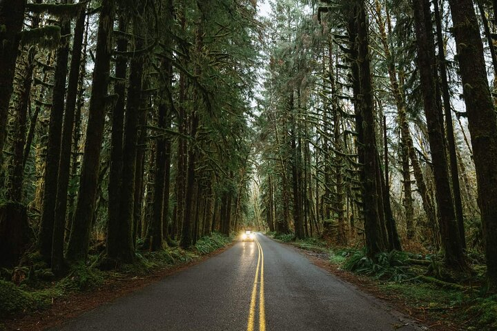 Twilight Forks Washington Tour fwiZJxfF-backdrop