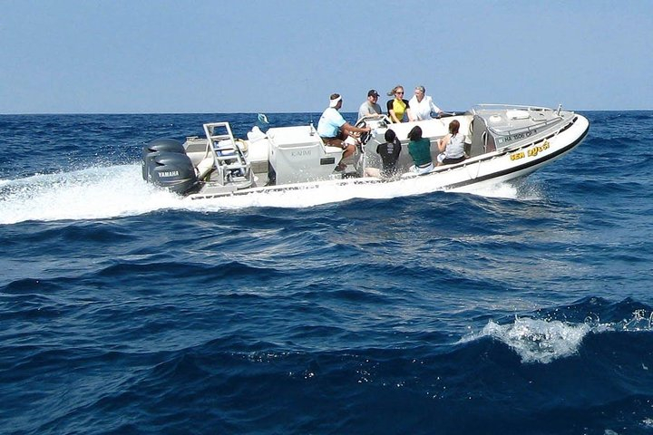 Kealakekua Bay Captain Cook Snorkel Exclusive IxUCmDn8