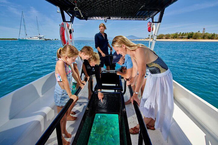 Wavedancer Low Isles Great Barrier Reef Sailing Cruise fCMnLFhj
