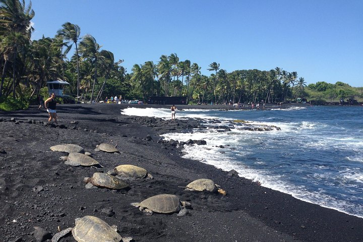 Hawaii Big Island Circle Small Group Tour: Waterfalls - Hilo - Volcano - Black Sand Beach A1bL8SBB
