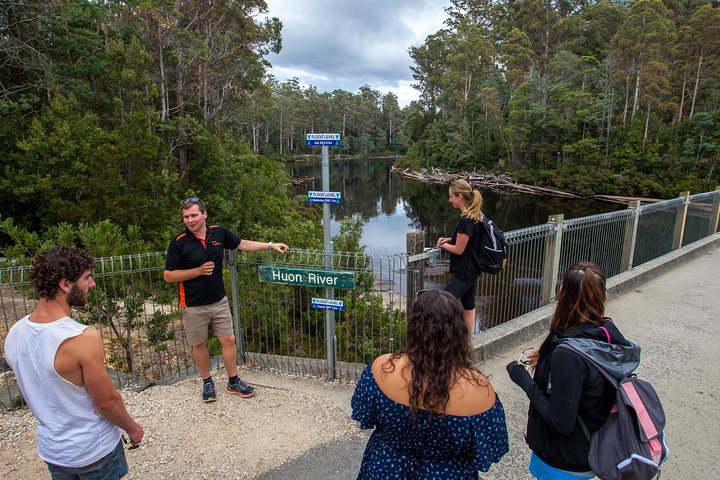 Tahune Airwalk & Hastings Cave Active Day Tour from Hobart ARyJoV5e-backdrop