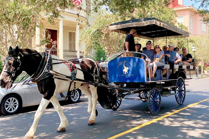 Charleston Horse & Carriage Historic Sightseeing Tour IzkSQiha-backdrop