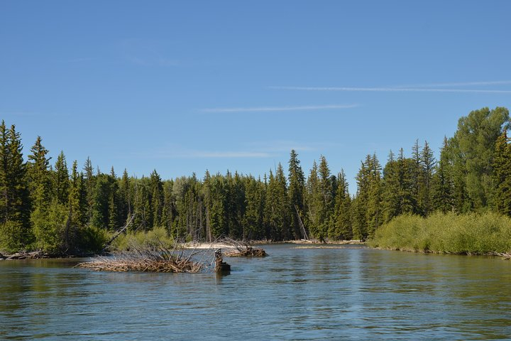 Scenic Float Trip in Grand Teton National Park Jackson Hole 6rdsc57Q