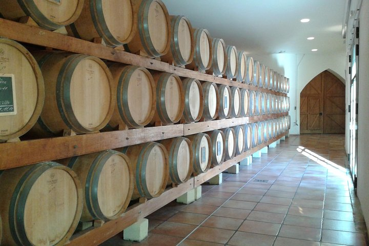 Morning Wine Tour to Chateauneuf du Pape from Avignon uCJxanK8