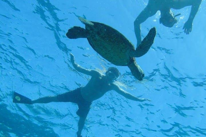 Kealakekua Bay Captain Cook Snorkel Exclusive x2HWO4Yt