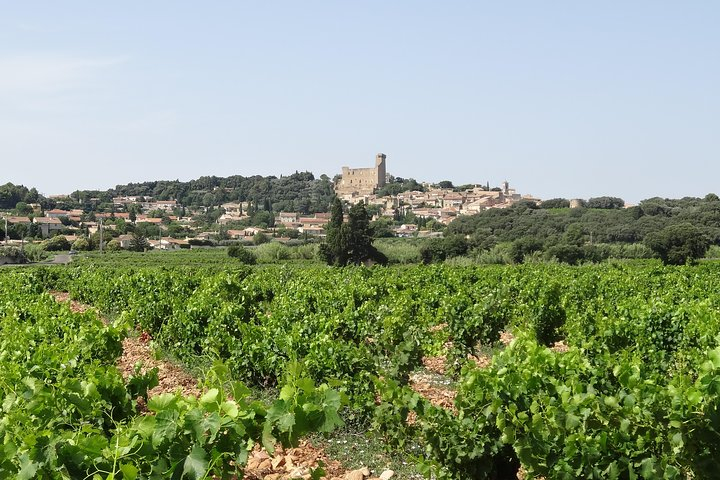 Morning Wine Tour to Chateauneuf du Pape from Avignon tXzlTZ74