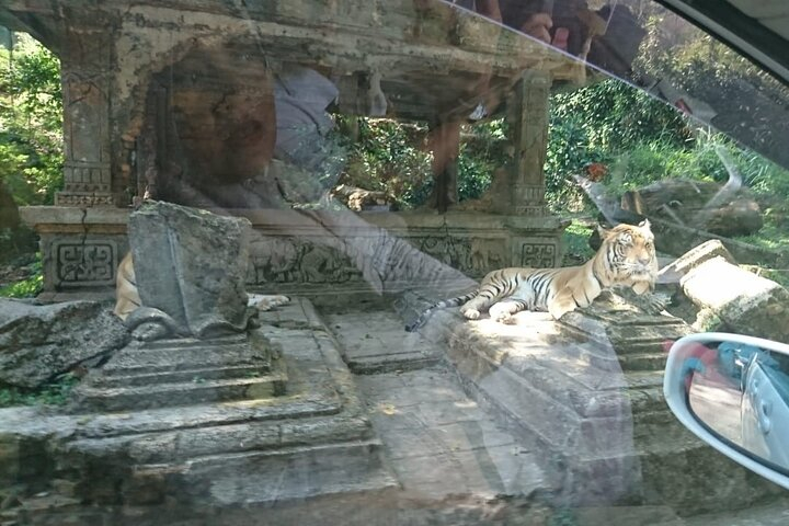 Private Tour Ragunan Zoo, natural life of animals CO2o6Xri