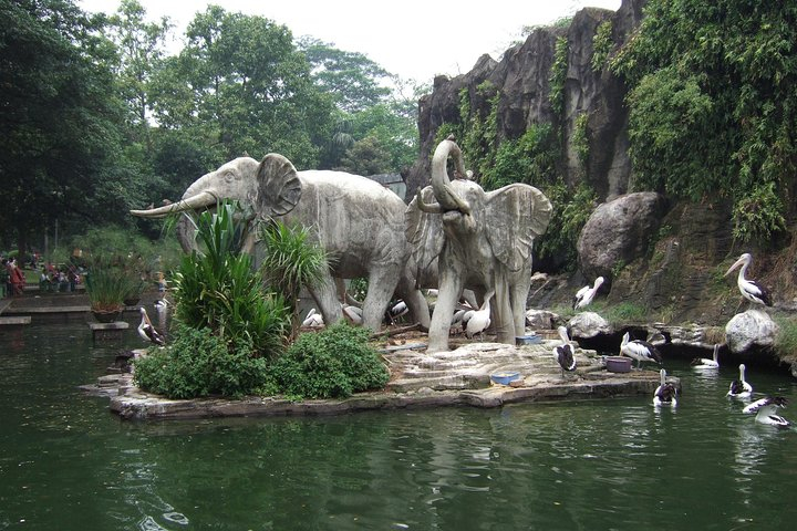 Private Tour Ragunan Zoo, natural life of animals amBZlMjm