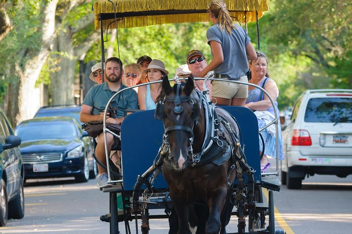 Charleston Horse & Carriage Historic Sightseeing Tour pgbJIkYy