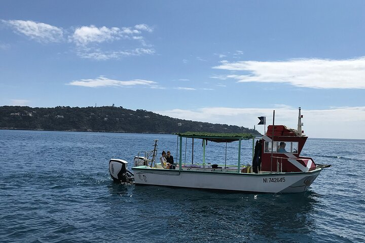 Half Day Snorkeling & Diving in Nice kTPKApnd