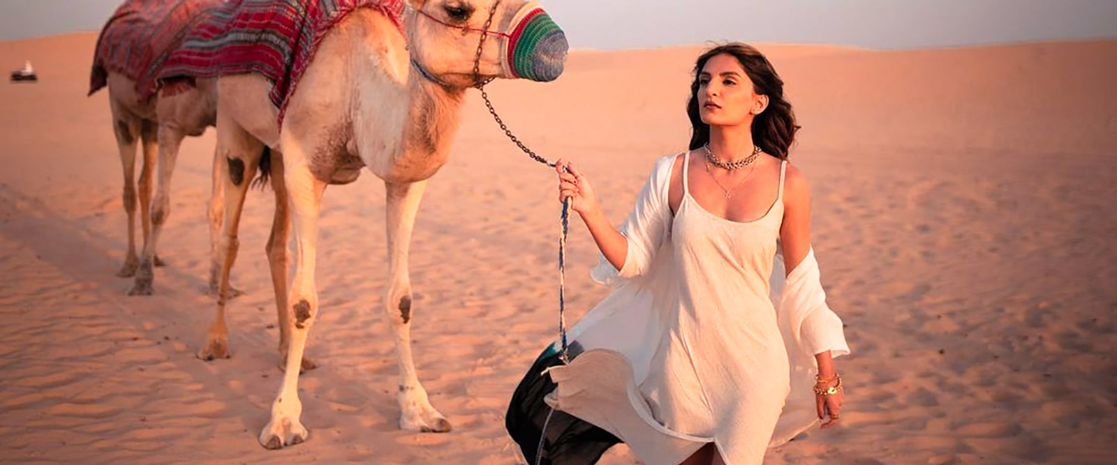 Camel Trekking Experience in Abu Dhabi 8xjxcdcT