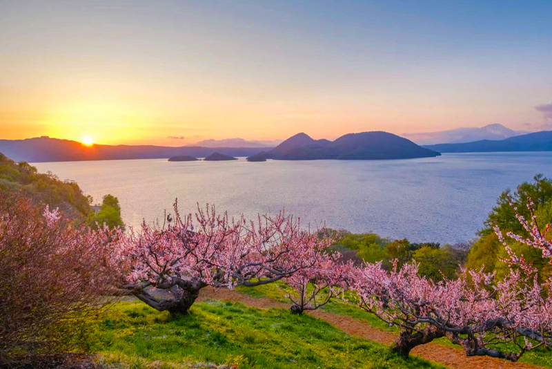 Tiket [Lake Toya, Hokkaido] Lake Toya & Noboribetsu Hell Valley & Bear ...