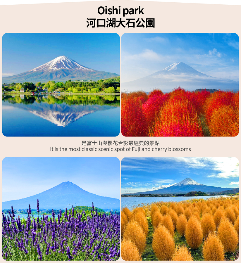[Mt. Fuji popular seasonal attractions] Mt. Fuji Ladder Town & Hikawa Watch Shop & Oshino Hakkai & Oishi Park or Kawaguchiko seasonal limited-Rainbow Flower Festival & Lawson convenience store one-day tour (depart from Tokyo) VzGBHbMC