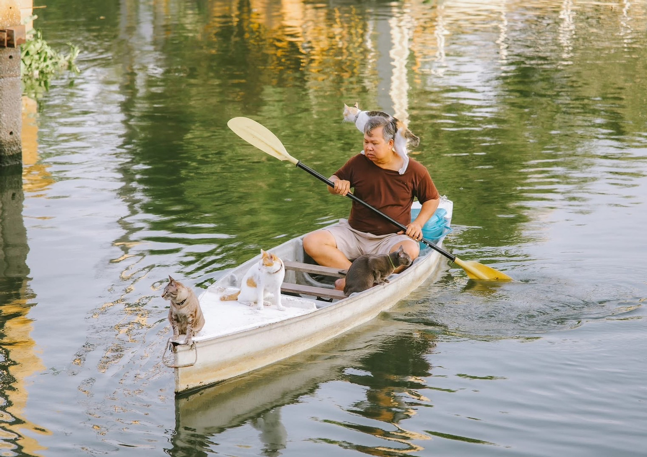 [ Exclusive] Cat boat for sunset in Bangkok (MyProGuide) 3EzCaNh4