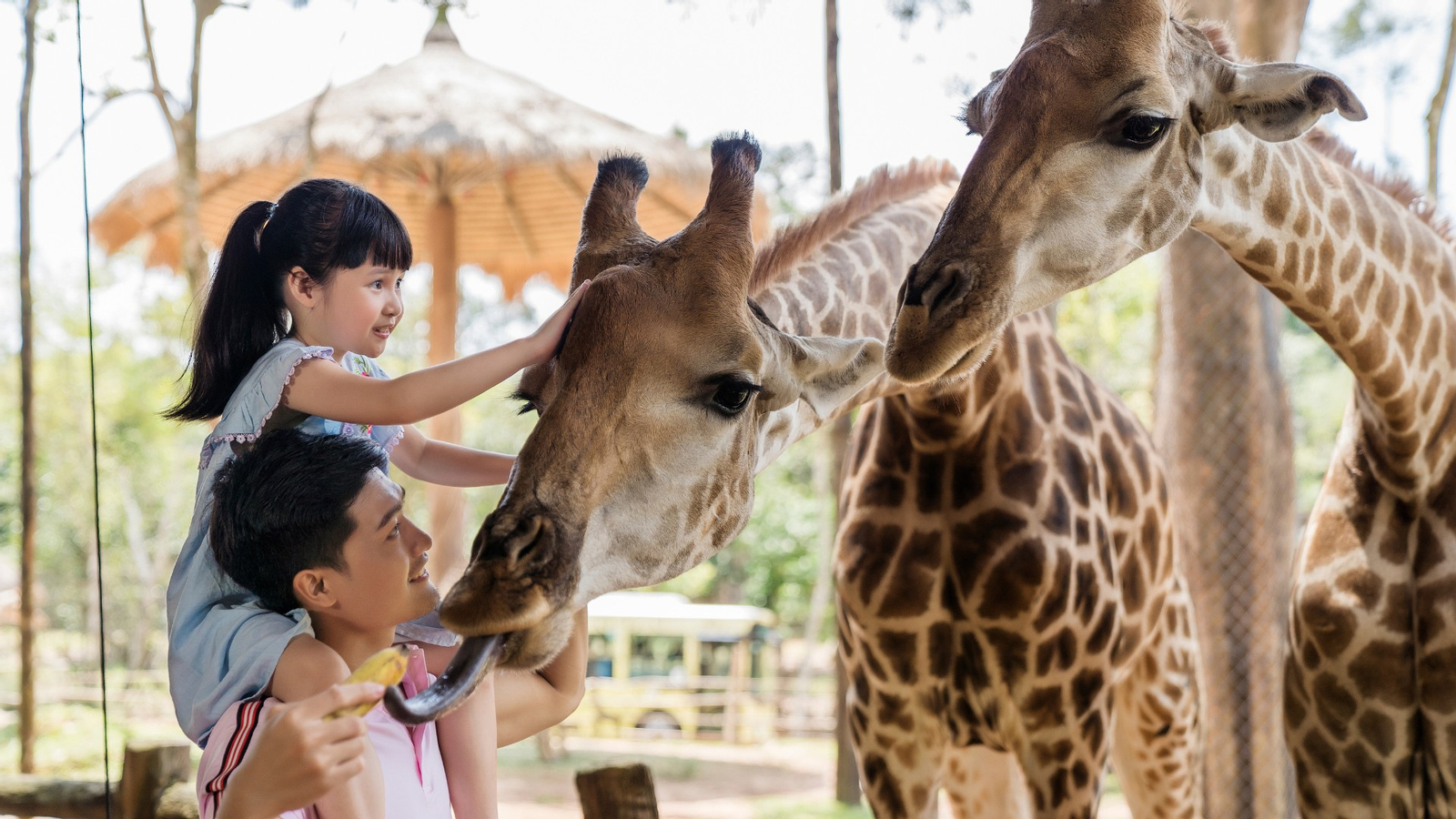 Vinpearl Safari Phu Quoc Ticket bkTKRtVV