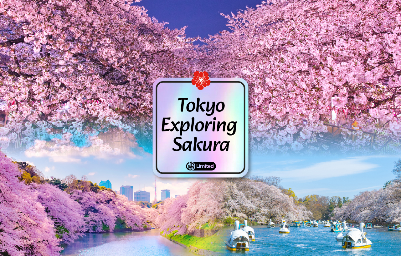 [Cherry Blossom Season Limited Lunch Included] Ueno Park, Chidorigafuchi, and Meguro River Night Cherry Blossom Viewing Day Tour (Depart from Tokyo) pJvlTv75