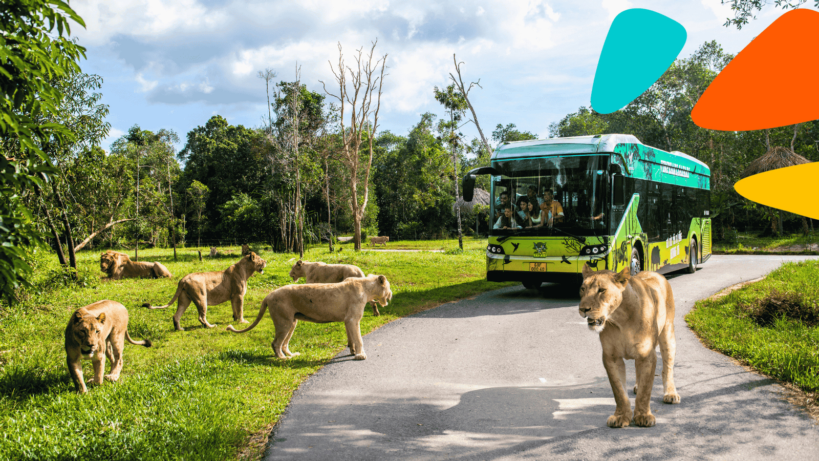 Vinpearl Safari Phu Quoc Ticket muC00rEy