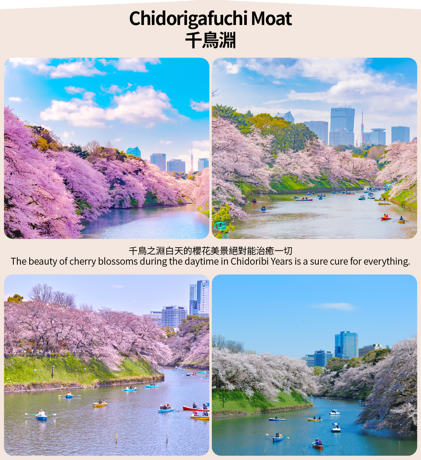 [Cherry Blossom Season Limited Lunch Included] Ueno Park, Chidorigafuchi, and Meguro River Night Cherry Blossom Viewing Day Tour (Depart from Tokyo) cuewH4Wu