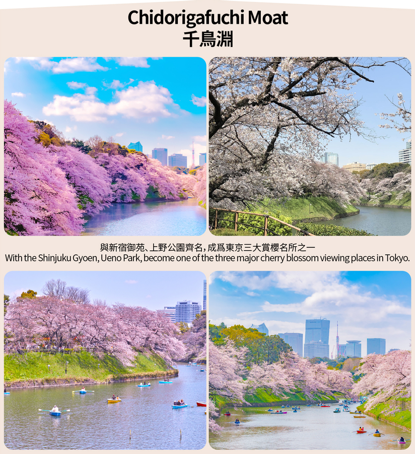 [Cherry Blossom Season Limited Tokyo Cherry Blossom Viewing] Shinjuku Gyoen & Chidorigafuchi & Ueno Park & Sumida Park & Meguro River Cherry Blossom Viewing Day Tour (Depart from Tokyo) kSWImp4e-backdrop