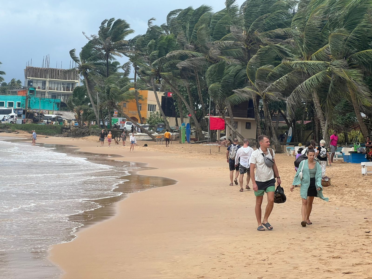 Colombo/Bentota/Kalutara to Galle Highlight Private Day Tour jnasNy96
