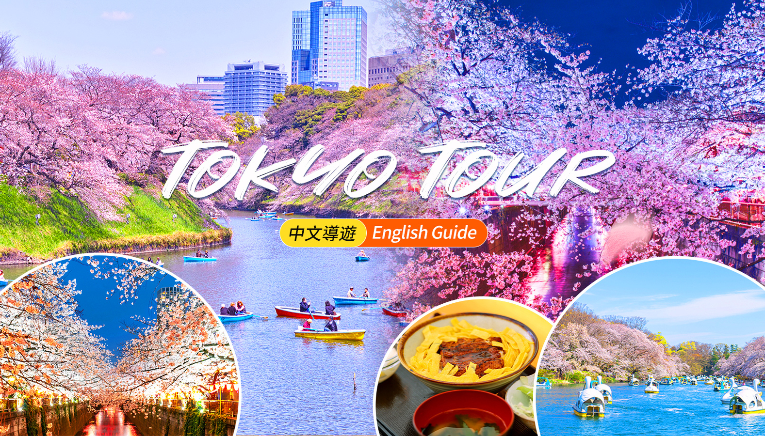 Cherry Blossom Season Exclusive - Night Cherry Blossoms・Tokyo Cherry Blossom Viewing Tour｜Depart from Shinjuku/Ueno ycjG3uWY
