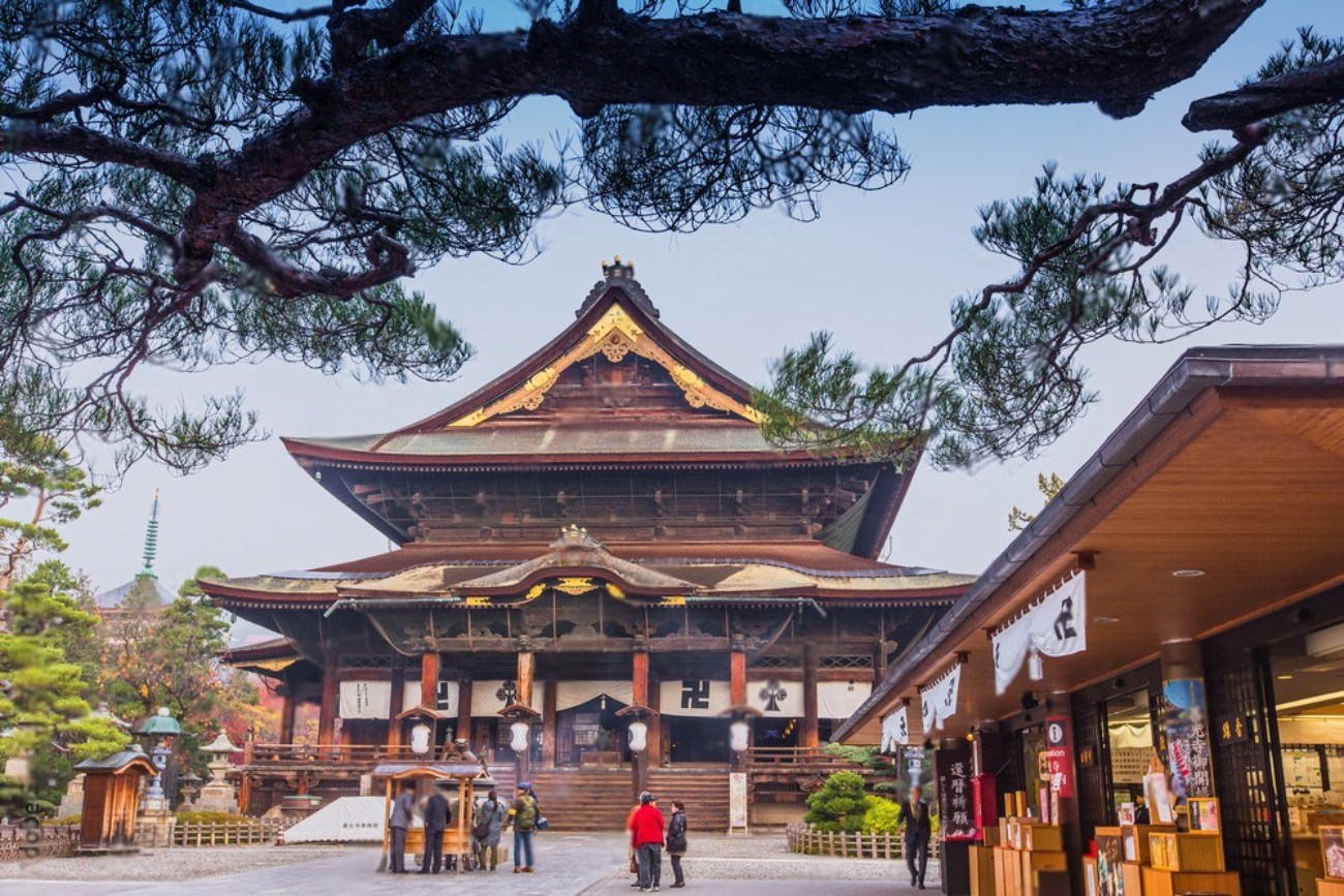 Jigokudani Monkey Park & Zenkoji Temple Private Day Trip lhaKULhM