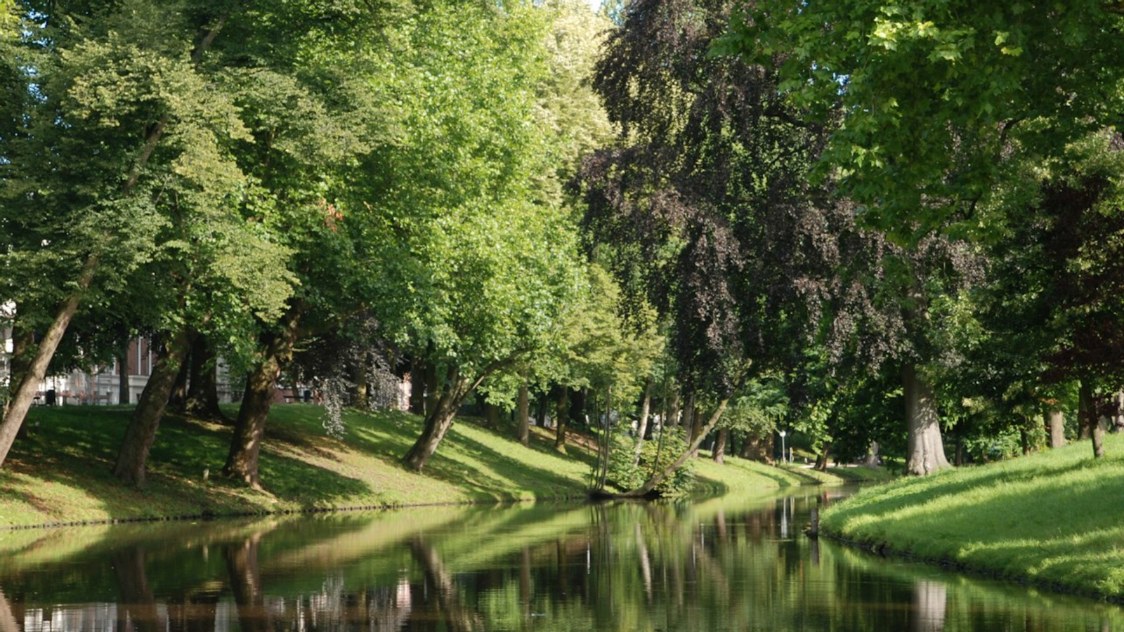 Canal cruise tour in Utrecht yz2ctW9q-backdrop
