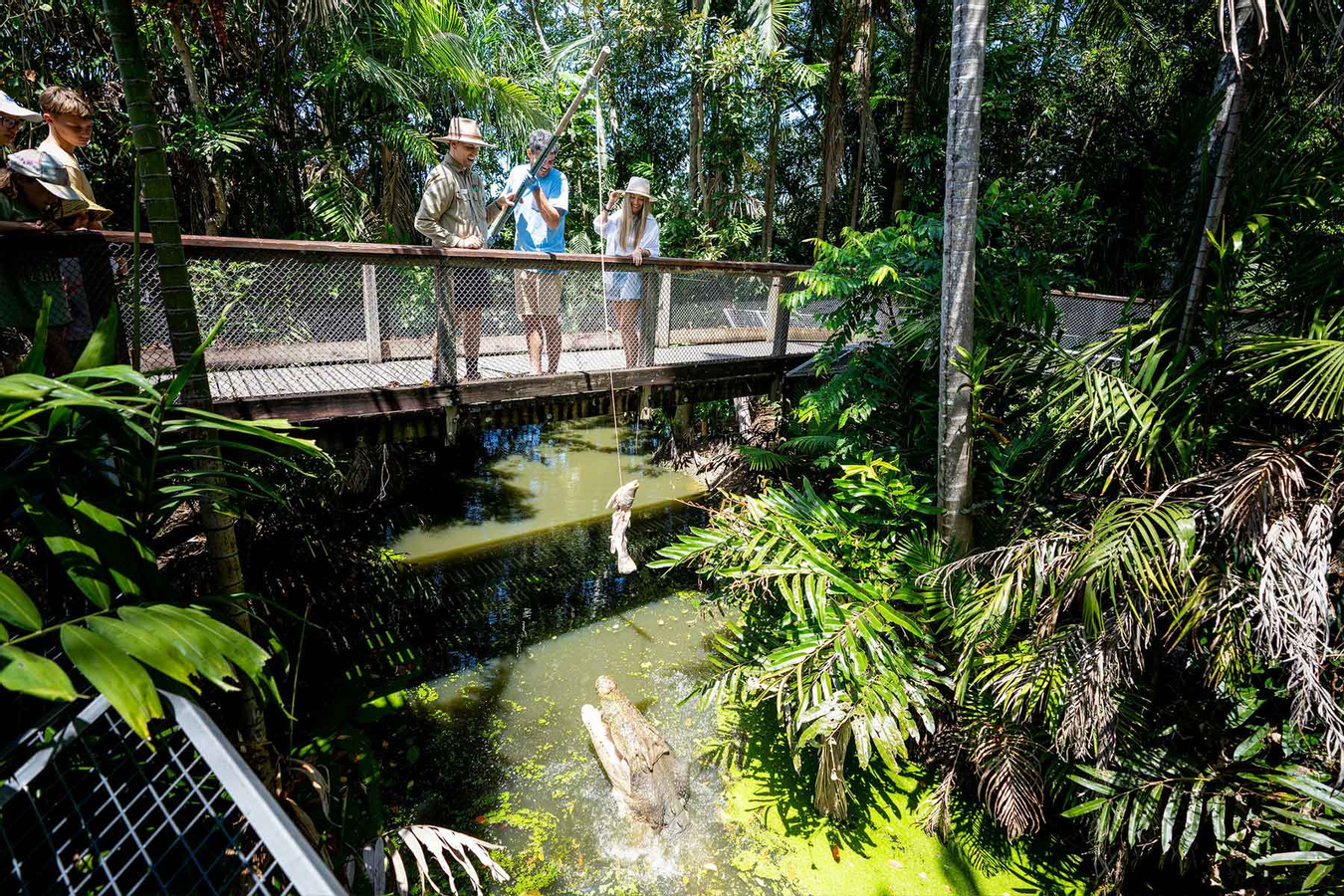 Wildlife Habitat Port Douglas Ticket 4UFV3XfX