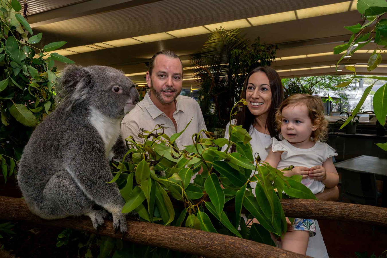Wildlife Habitat Port Douglas Ticket cavzmt1L-backdrop