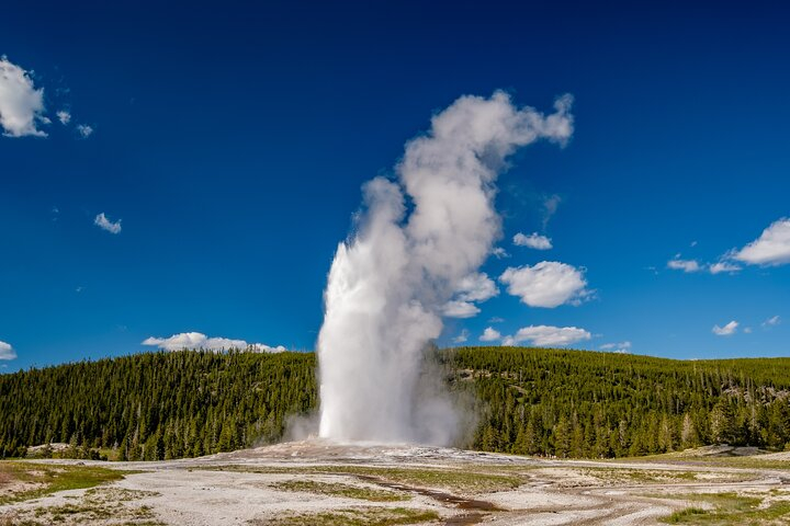 Yellowstone Lower Loop Luxury Full Day Tour ScggGgnT