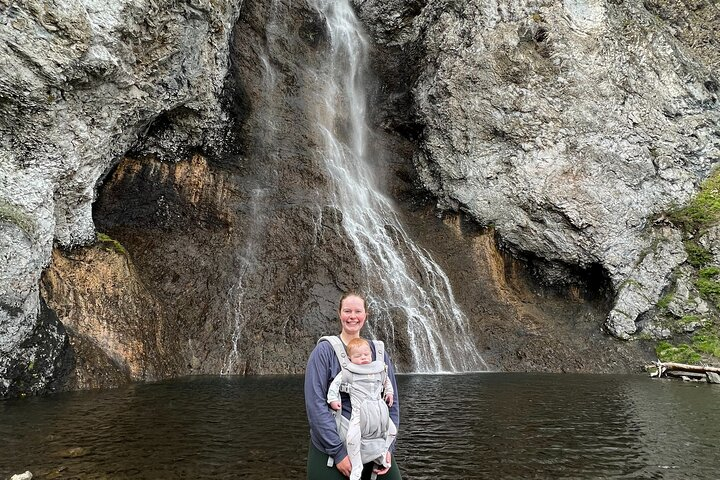 Yellowstone Lower Loop Luxury Full Day Tour bT7r9waK-backdrop