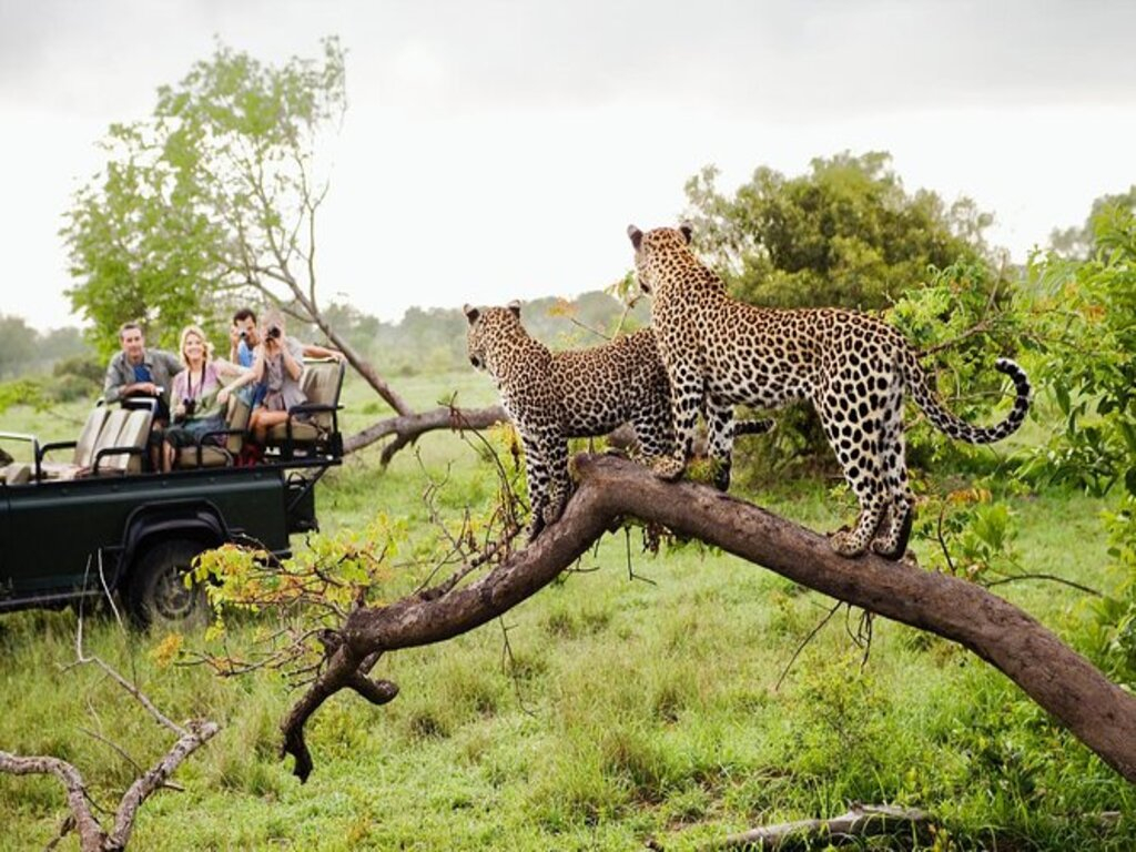 Sri Lanka 10 Days Tour with 4 Star Hotels and Private Transportation Y7kCVjVv