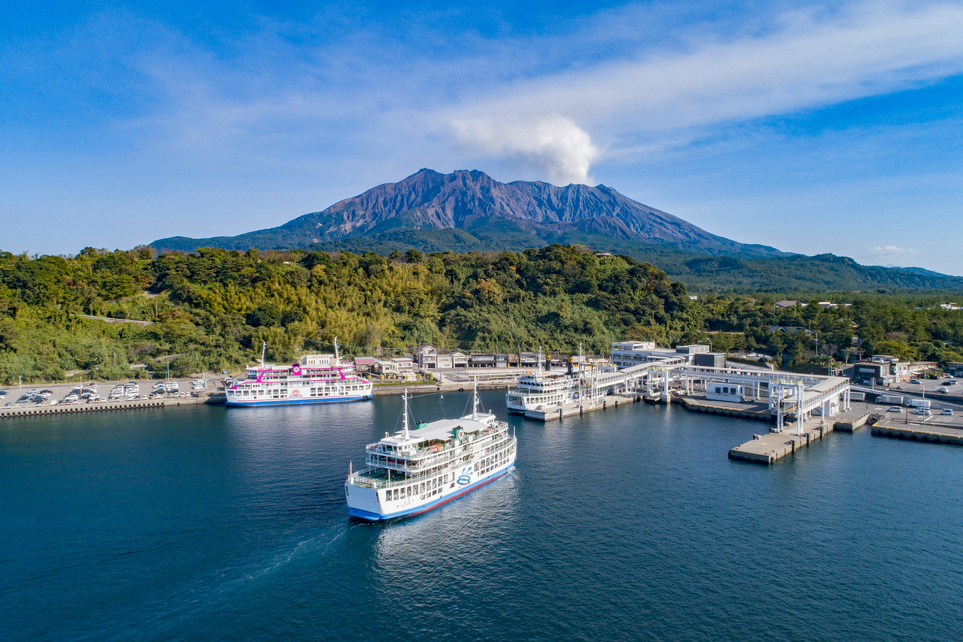 1-Day Kagoshima Private Tour with Farm Visit & Distillery Experience YFXq7bJx