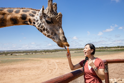 Giraffe Safari Experience and A Day at Monarto Safari Park m0DmoE5Q