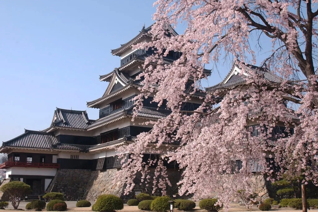 Jigokudani Monkey Park, Zenkoji, & Matsumoto Castle Private Day Tour 3CW9aJ1p