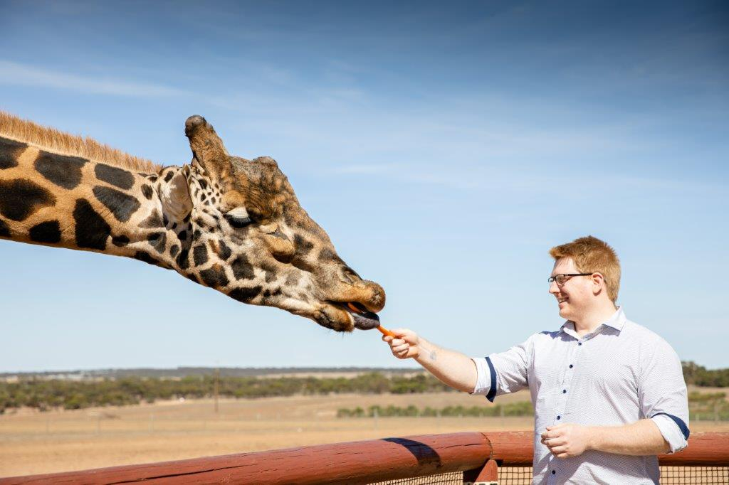 Giraffe Safari Experience and A Day at Monarto Safari Park Hju14Jad-backdrop