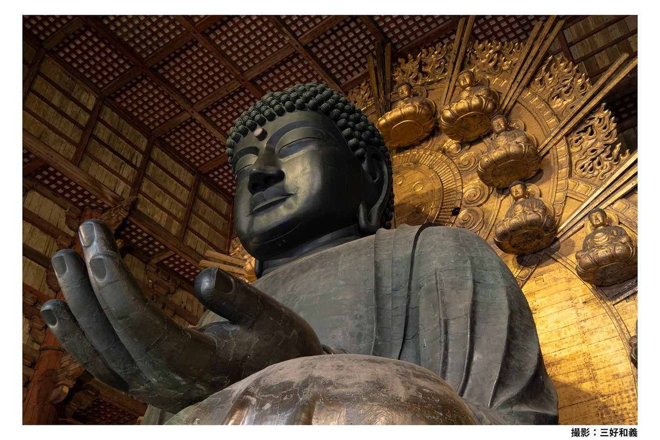 Nara Afternoon Tour (Round Trip from Kyoto) f9IacmLF