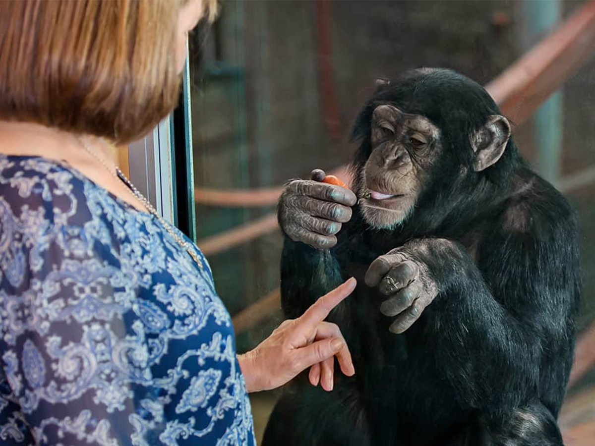 Monarto Safari Park Keeper for a Day KPcqxHpE
