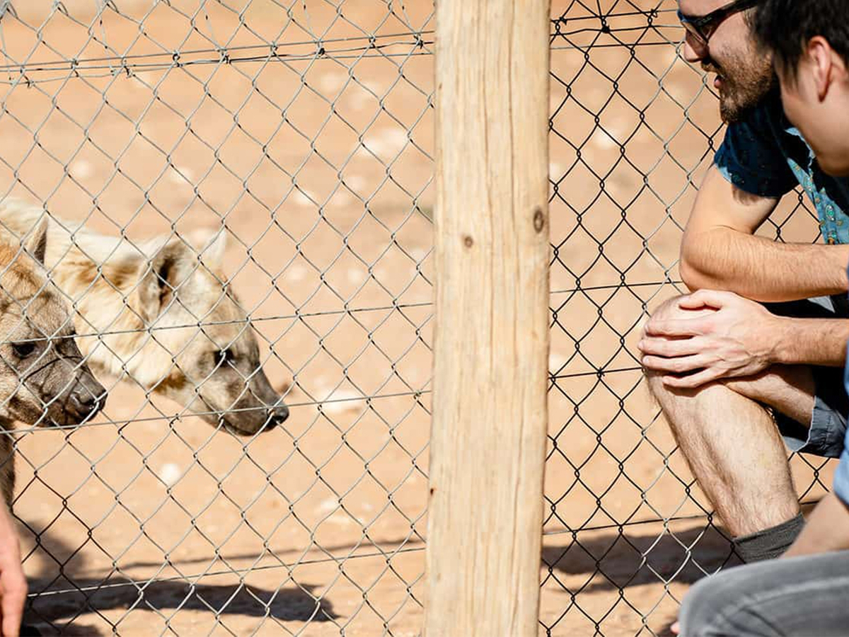Monarto Safari Park Keeper for a Day PYYcnLPG