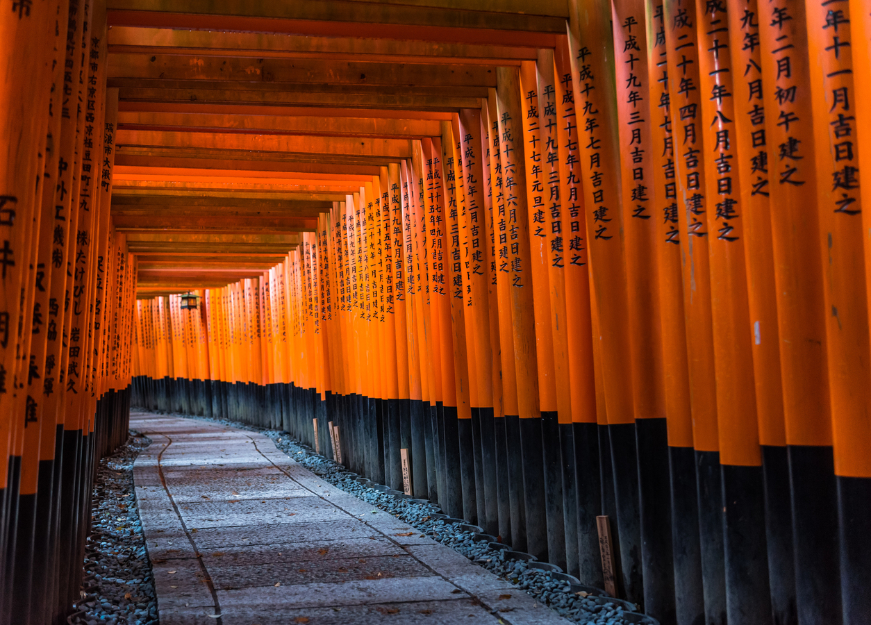 Fushimi Inari-taisha, Arashiyama, Kiyomizu-dera day tour from Osaka PpLMKEo6